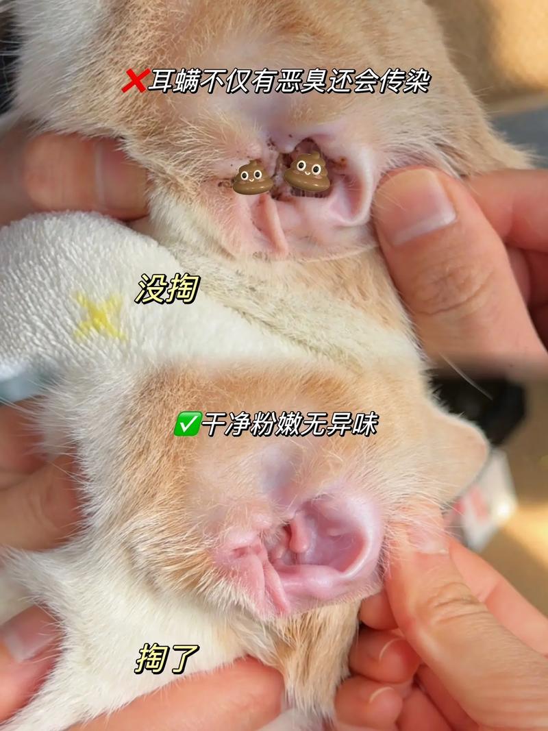 下载中心