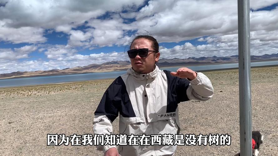 西藏自驾遭两狼夹击