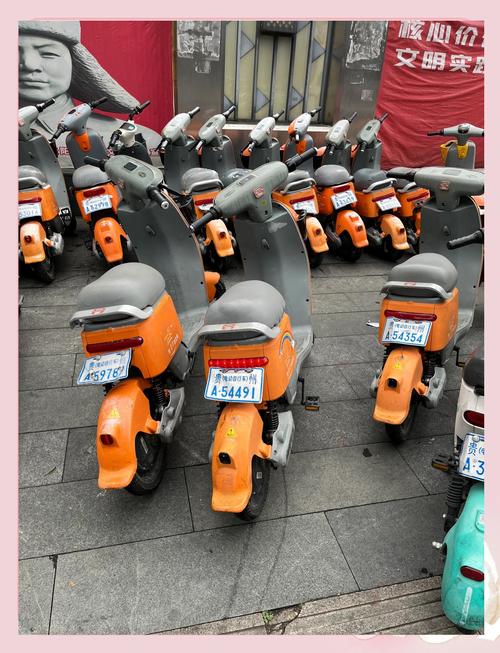 新门内部资料免费提供和海口禁止共享电单车与海口禁止共享电单车吗