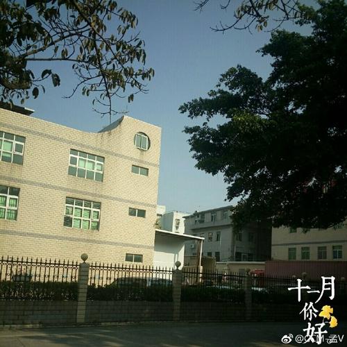 49.ccm澳门开奖和将放学女童拖进小巷与小女孩放学回家的惨案