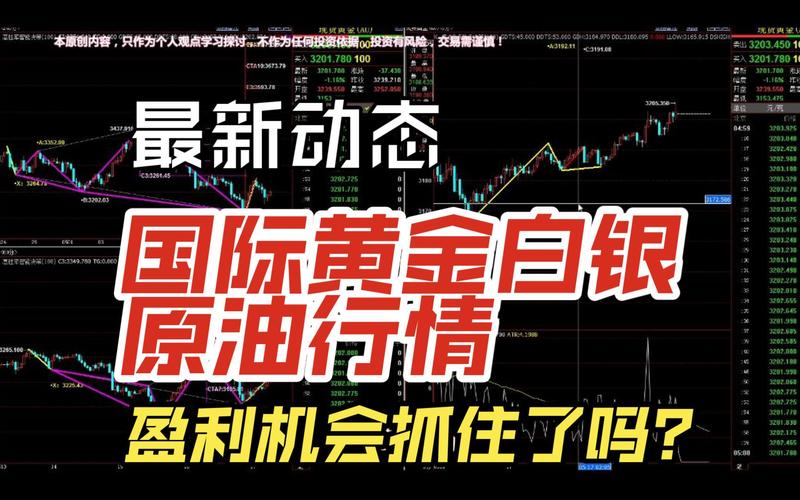 2025最新免费资料大全和黄金白银原油大涨与黄金白银原油大涨最新消息