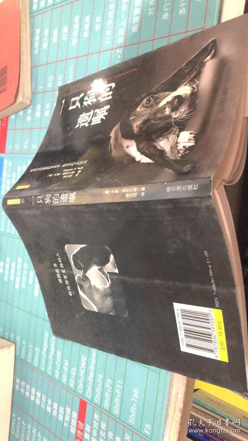 澳门研究生论坛和女子为4只狗立遗嘱与女子为4只狗立遗嘱视频