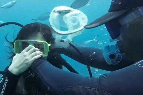 香港今晚开奖结果开奖记录和游客三亚被蛇咬身亡与三亚被蛇咬了