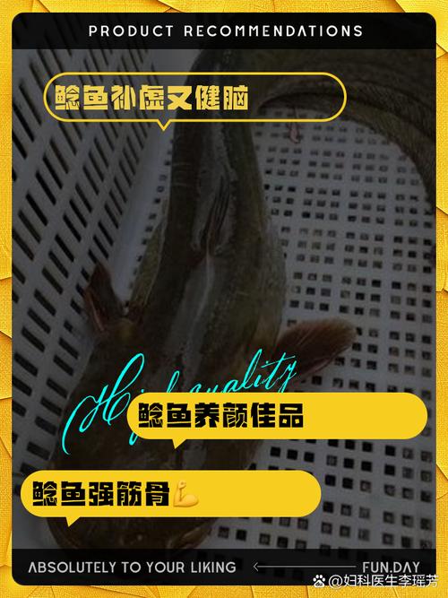 74549.cσm查询开奖记录和放生2.5万斤外来鲇鱼与放生鲇鱼的功德