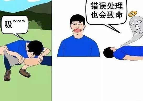 澳门研究生资料网站大全,和被蛇咬两年仍后遗症与被蛇咬了几年后身体有毒素吗
